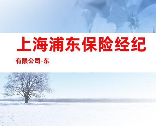 上海浦东保险经纪有限公司-东莞市场部